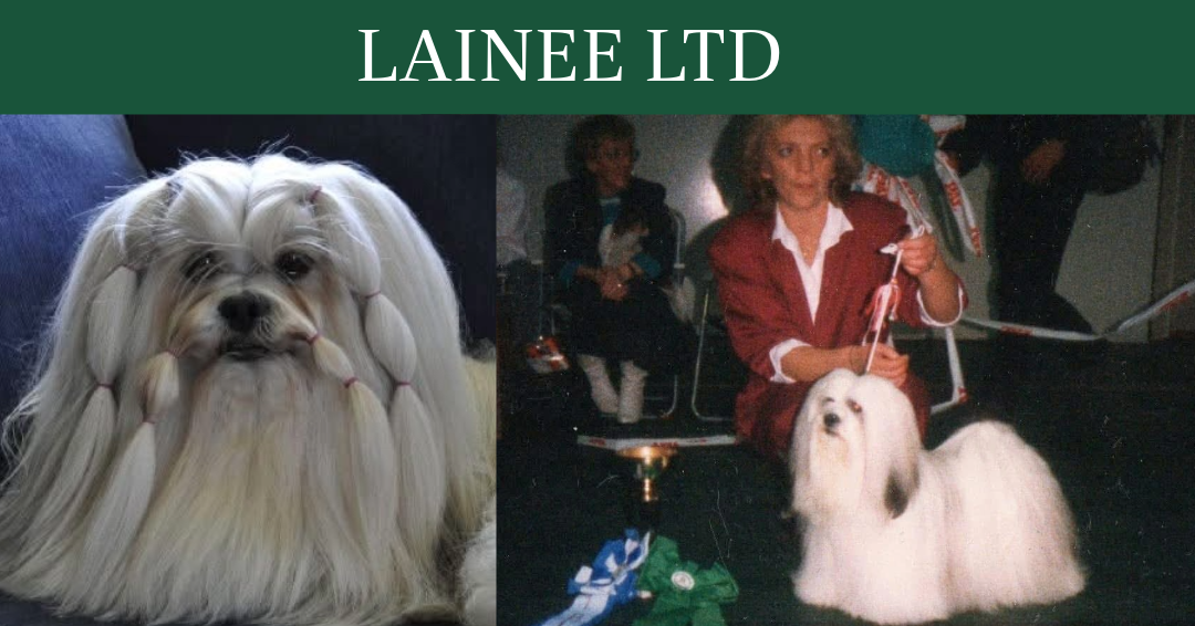 LAINEE