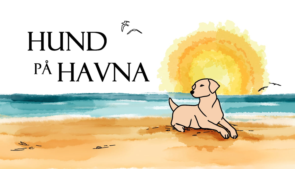 Hund På Havna