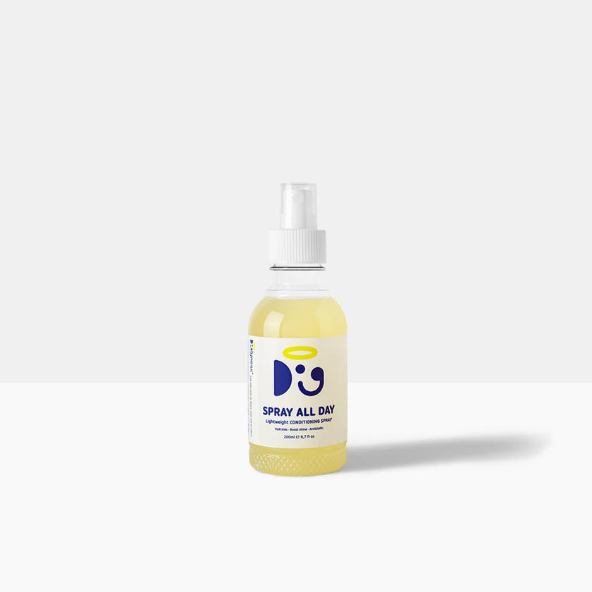 SPRAY ALL DAY 200ml