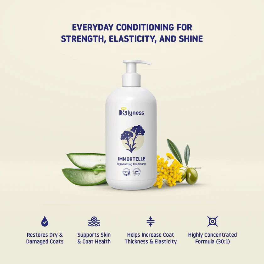 IMMORTELLE REJUVENATING CONDITIONER 1L