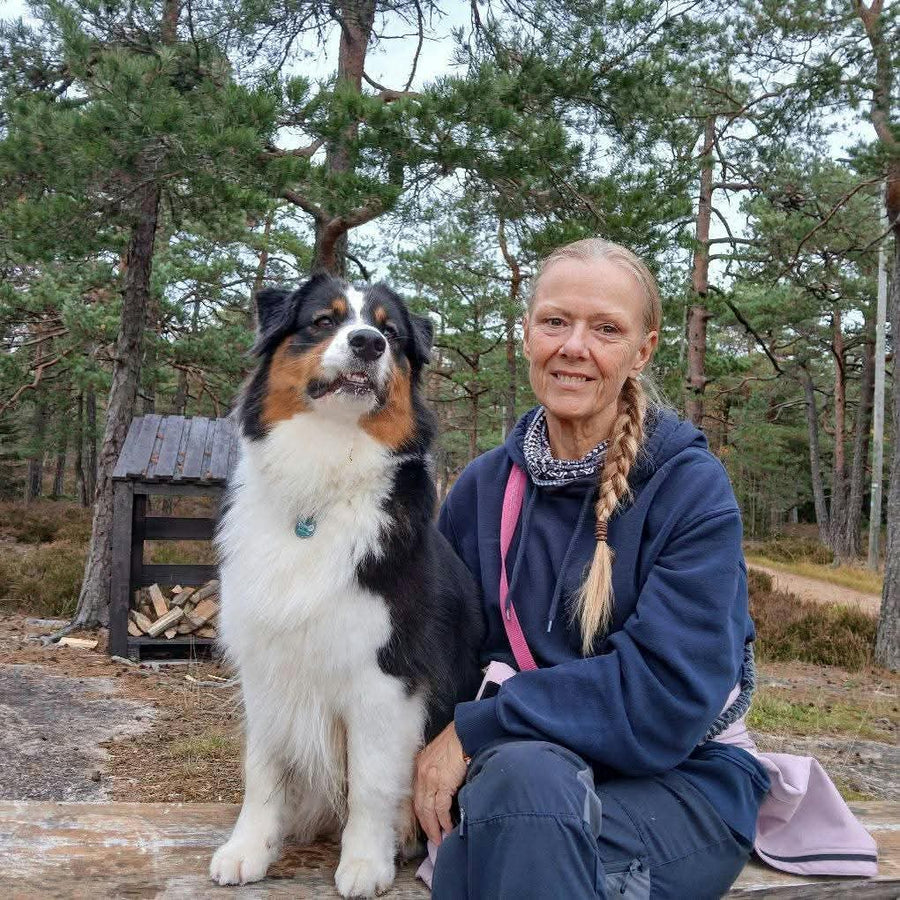 Siv Sunde