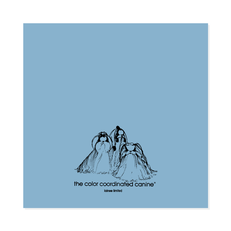 LAINEE - WRAPPING PAPER PLASTIC BABY BLUE