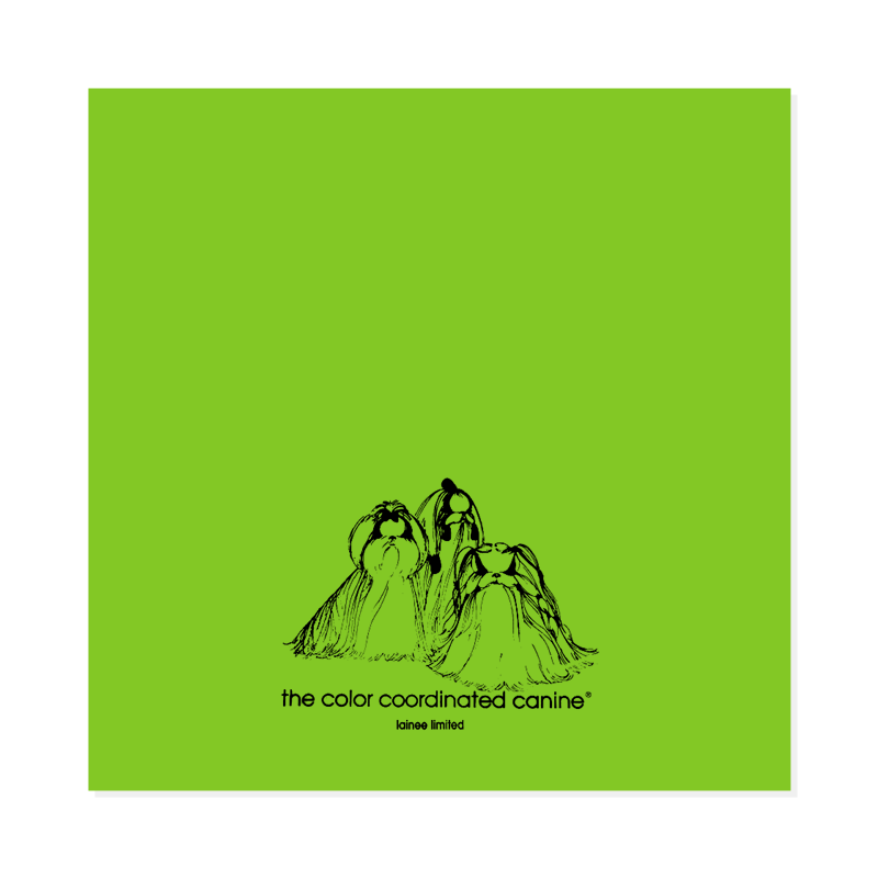 LAINEE - WRAPPING PAPER PLASTIC HOT GREEN